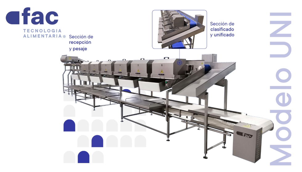 Clasificadora unificadora por peso mod. UNI