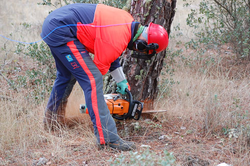 Operario forestal realizando labores de desbroce y poda con el EPI reglamentario