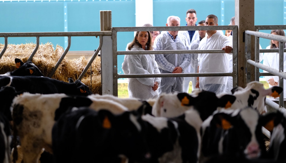 Visita de la consejera Mara Gonzlez Corral a un cebadero de terneros en Corrales del Vino (Zamora)