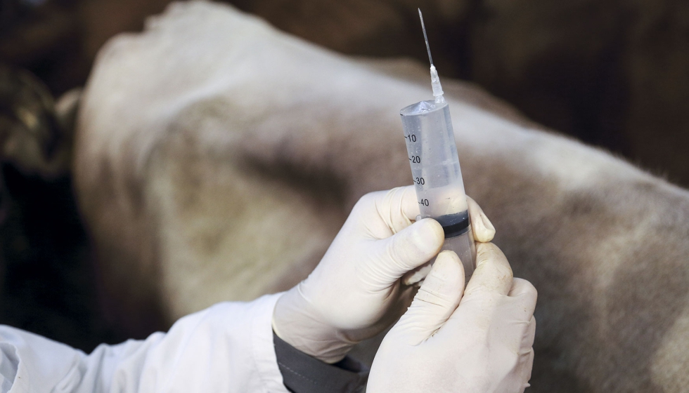 Trabajo de veterinario en una granja