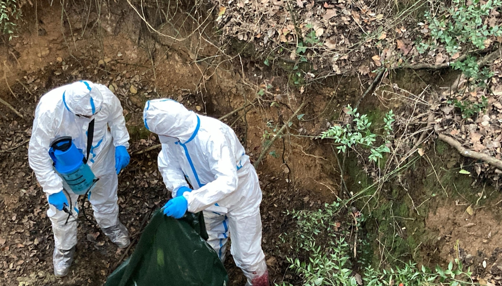 Agentes Rurales interviniendo durante el simulacro despus de recibir la alerta de peste porcina africana