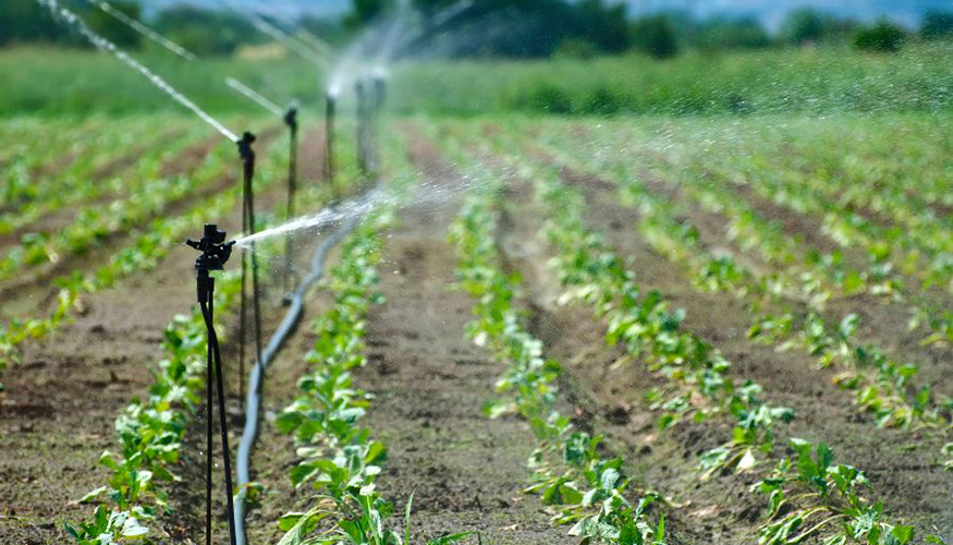 Estos sistemas de control deben ser revisados peridicamente por entidades acreditadas por Enac