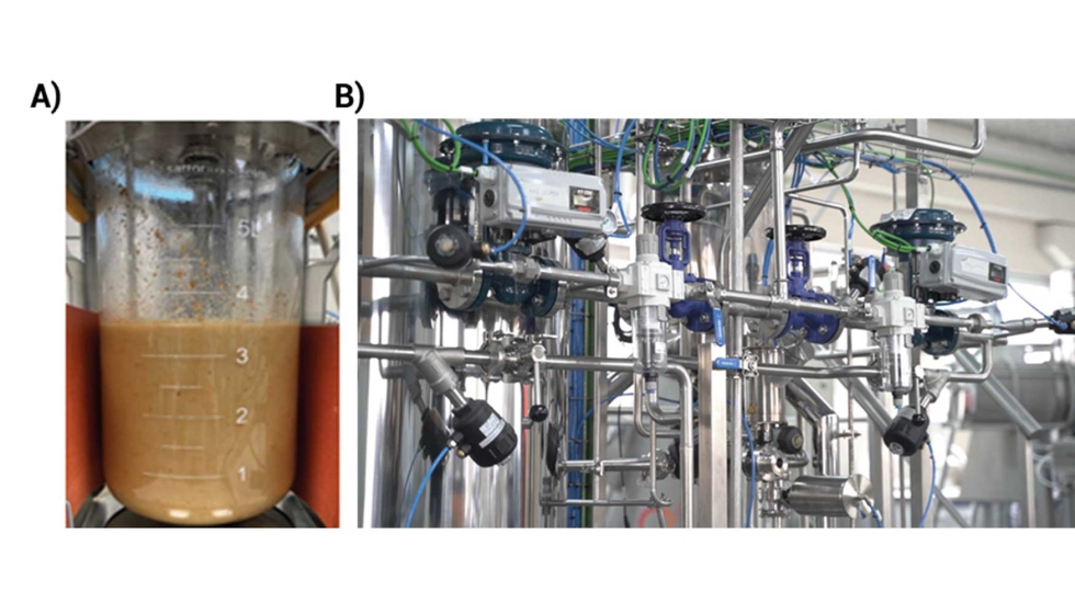 Figura 3. A) Biorreactor de fermentacin a escala 5 L; B) Biorreactor de fermentacin en planta piloto (100 L)