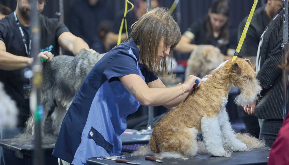 250 perros y 250 estilistas lucharn por ser los mejores del 2024 en una cita clave del sector