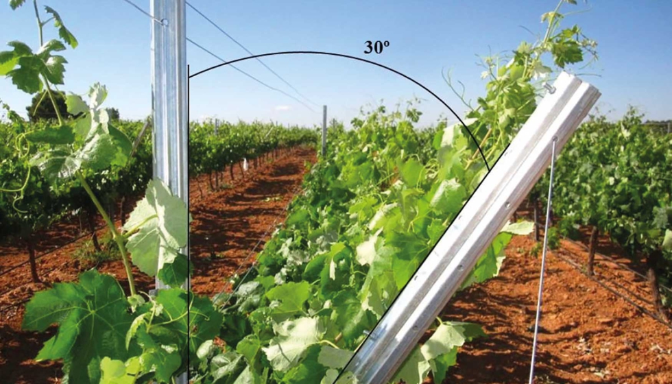 El ensayo se realiz durante dos temporadas en un viedo de Vitis vinifera L. cv. Bobal situado en Requena (Valencia), bajo un clima templado-clido...