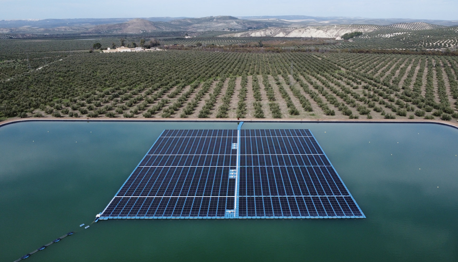 Con una superficie de 8.000 m2, la planta solar flotante ha evitado el arranque de unos 180 olivos