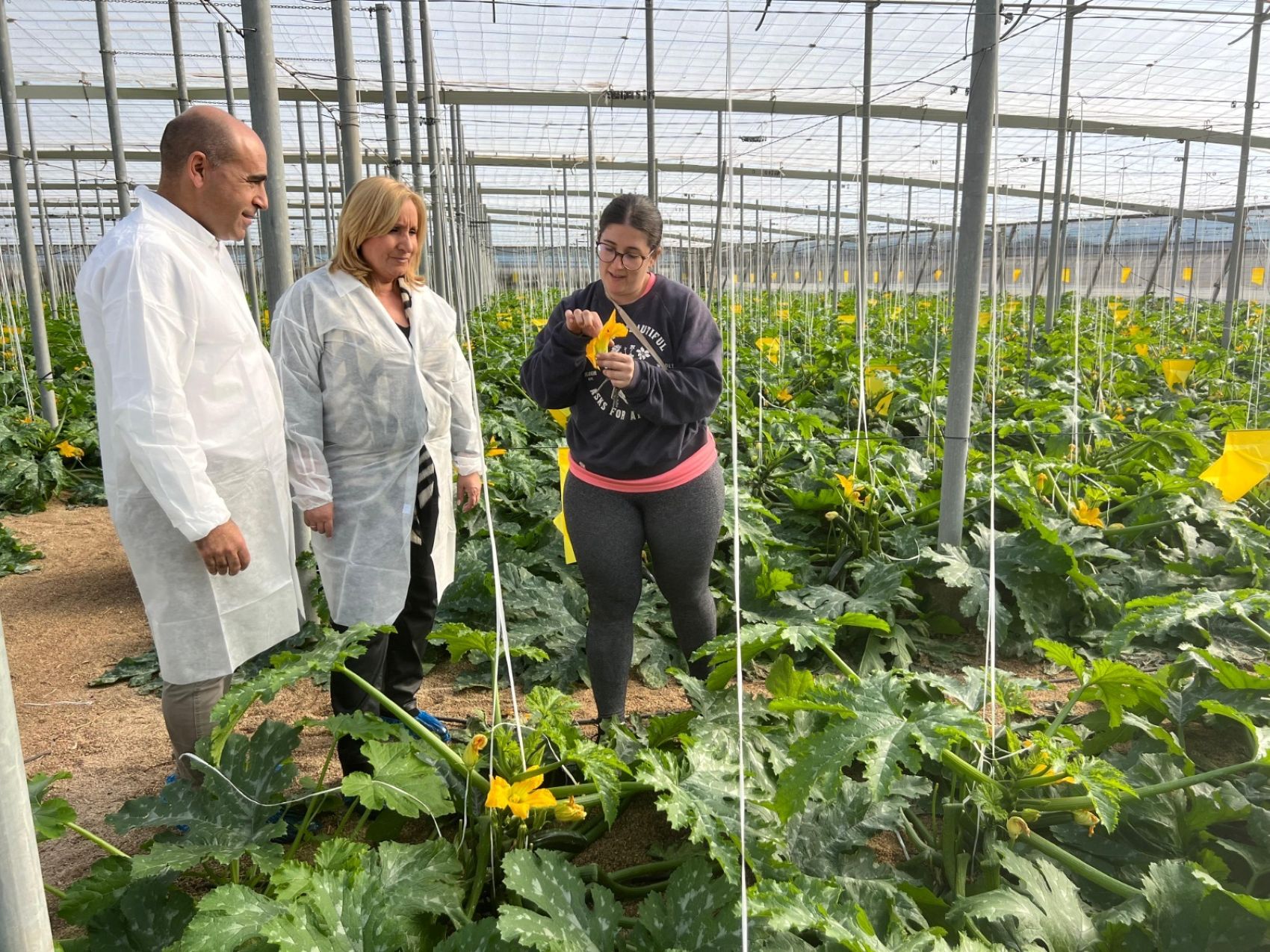 Imagen de la visita de la la viceconsejera de Agricultura, Pesca, Agua y Desarrollo Rural, Consolacin Vera, al invernadero de Lorena Lpez Domnguez...