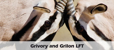 El Grivory/Grilon LFT es un producto de alta resistencia