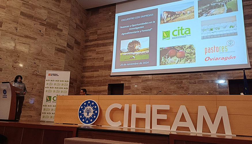 Ponencia de Leticia Riaguas