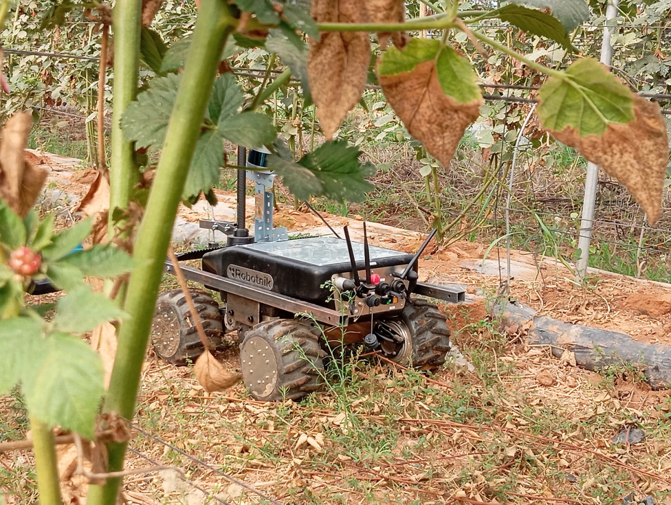 El uso de robots para la siega de la cubierta vegetal es uno de los puntos destacados del proyecto