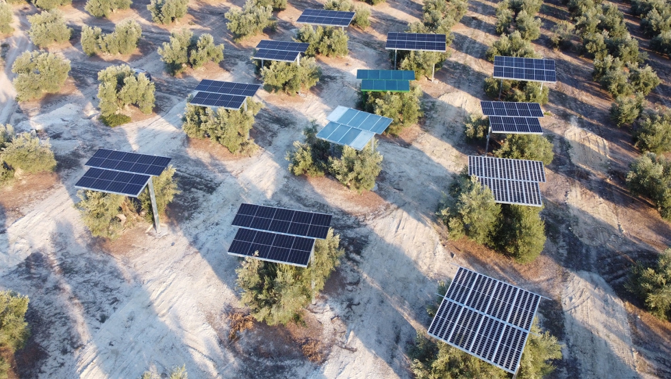 Fotografa 1. Campo solar experimental de Navas de San Juan