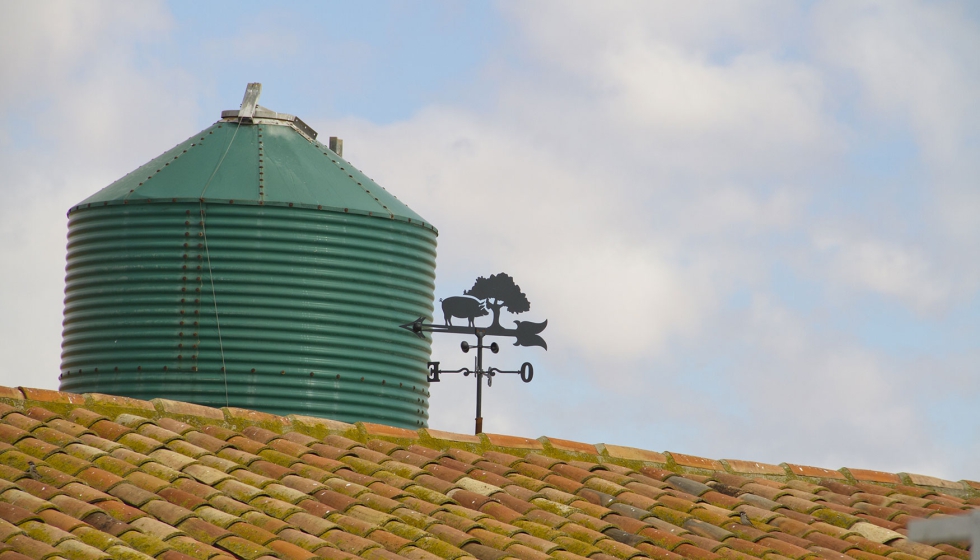 Exterior de una granja porcina