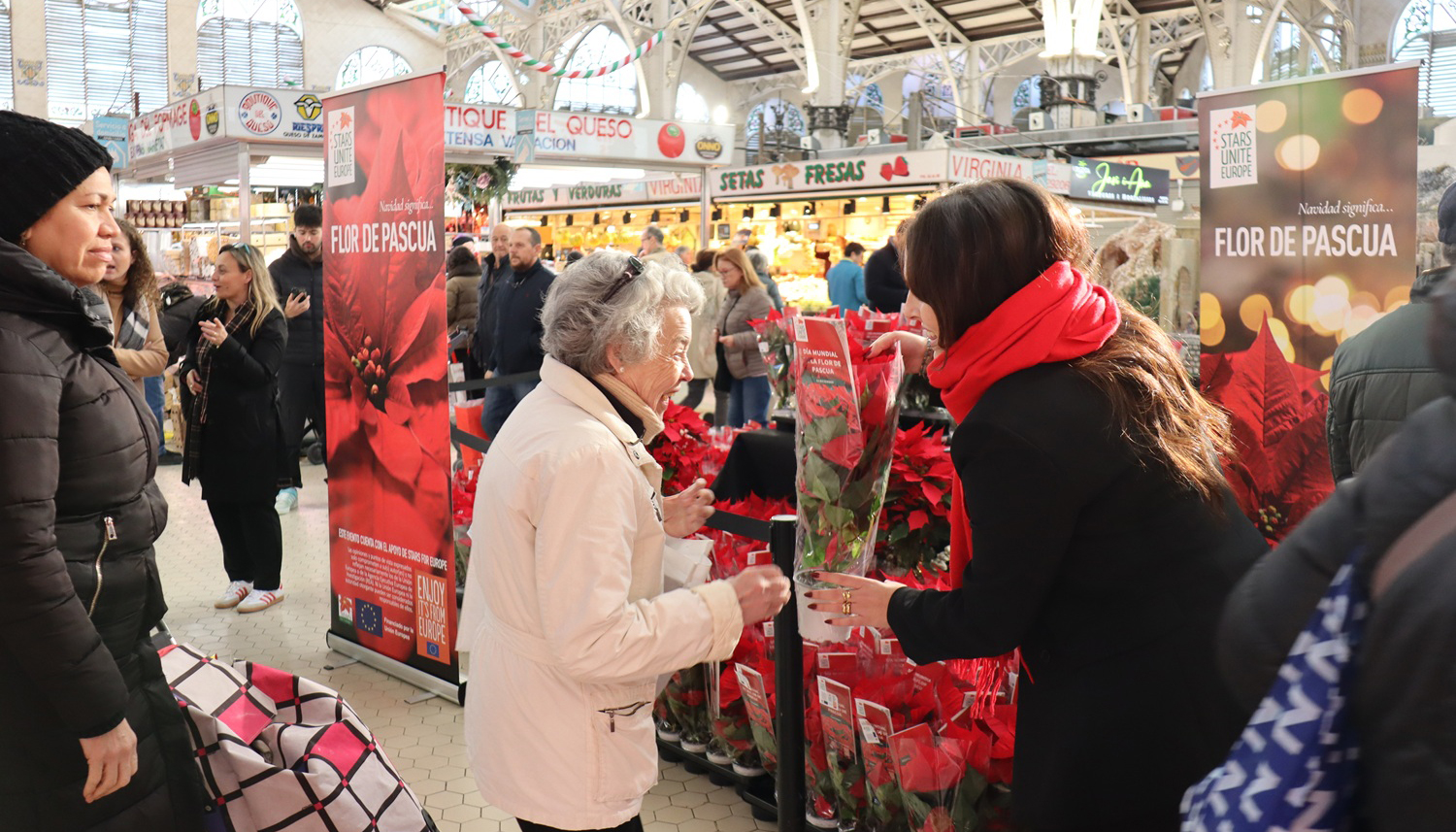 En Espaa, se producen alrededor de 10 millones de unidades de poinsettias