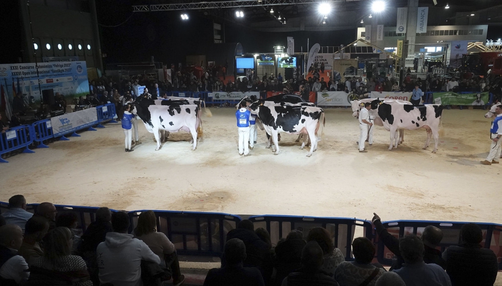 Concursos de raza Frisona celebrados en Abanca Cimag-GandAgro en la edicin de 2023