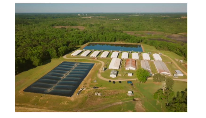 Alojamientos porcinos en Carolina del Norte (Estados Unidos)