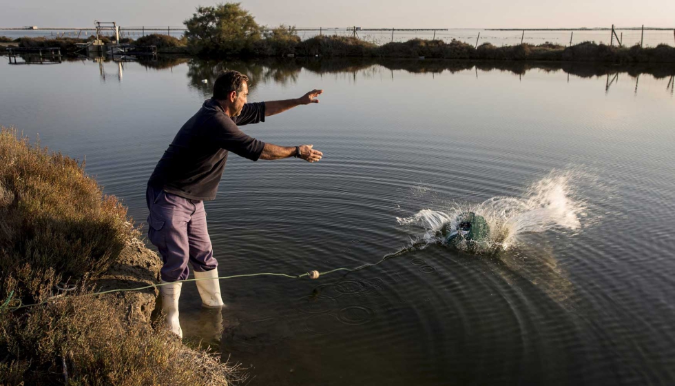 La acuicultura se lleva a cabo a mar abierto, como en la imagen, pero tambin en tierra firme y cerca de ros