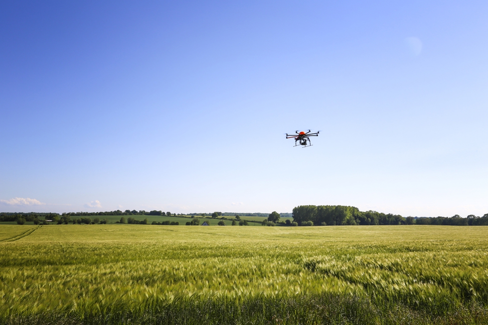 Un dron sobrevuela un campo de cereal