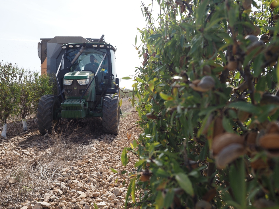 Entre 2010 y 2024, el nmero de fondos de inversin en tierra agrcola se ha multiplicado por tres