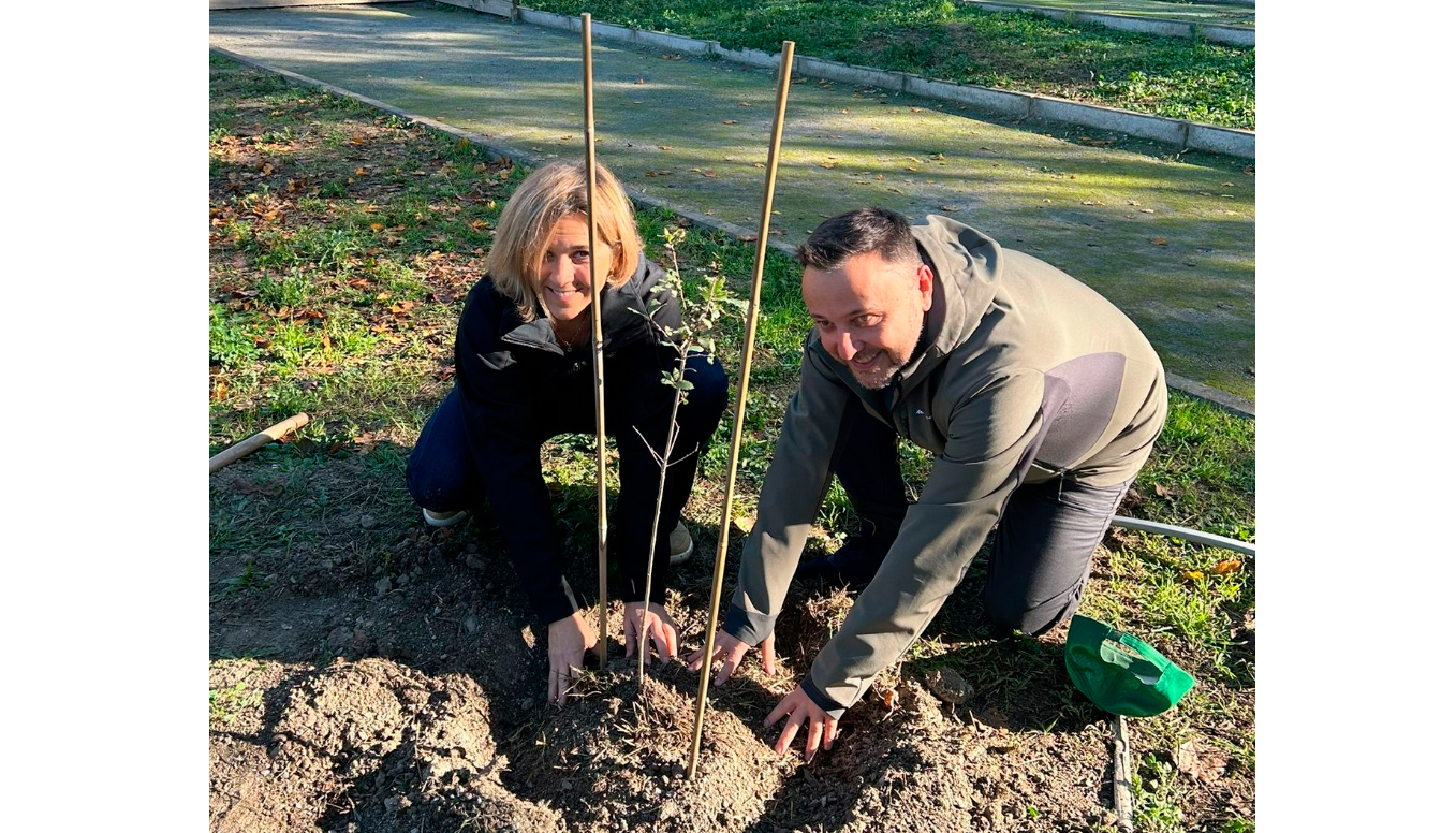 La iniciativa posibilitar la restauracin de bosques y otros espacios paisajsticos en una extensin aproximada de 800 hectreas...