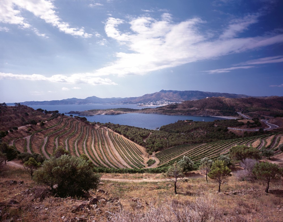 La bodega centenaria acoger el 24 de marzo de 2025 el I Simposio de Vinos Mediterrneos junto a bodegas de las principales regiones vitivincolas...