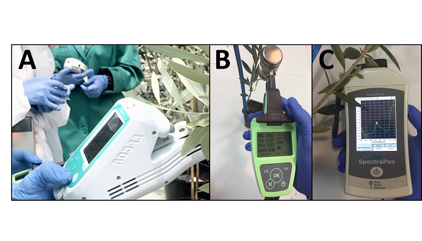 Sensores proximais utilizados neste projeto: (A) Porometer; (B) Dualex e (C) Spectrapen