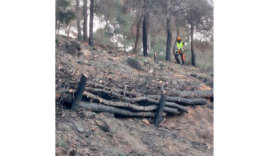 Las obras mejorarn el acceso para la gestin durante la fase de emergencia y facilitar la regeneracin natural posterior...