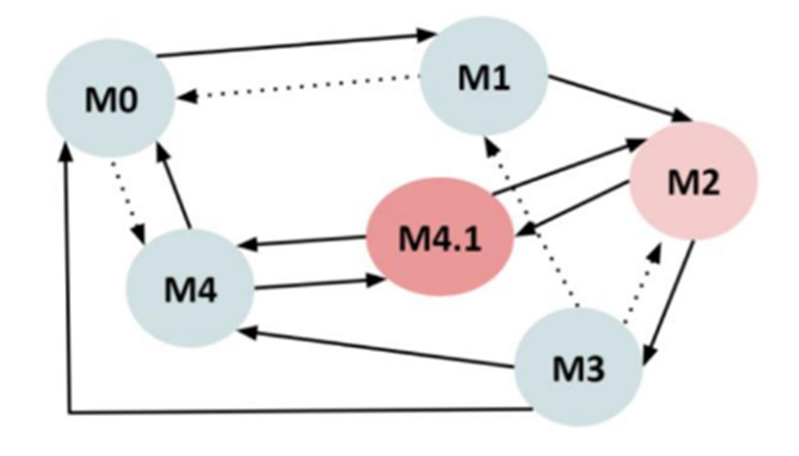 Figura 3. Ciclo/Transicin de los estadios de dermatitis digital (Jimnez, A., 2023. Modificado de Dpfer, citado en Kofler et al., 2020)...