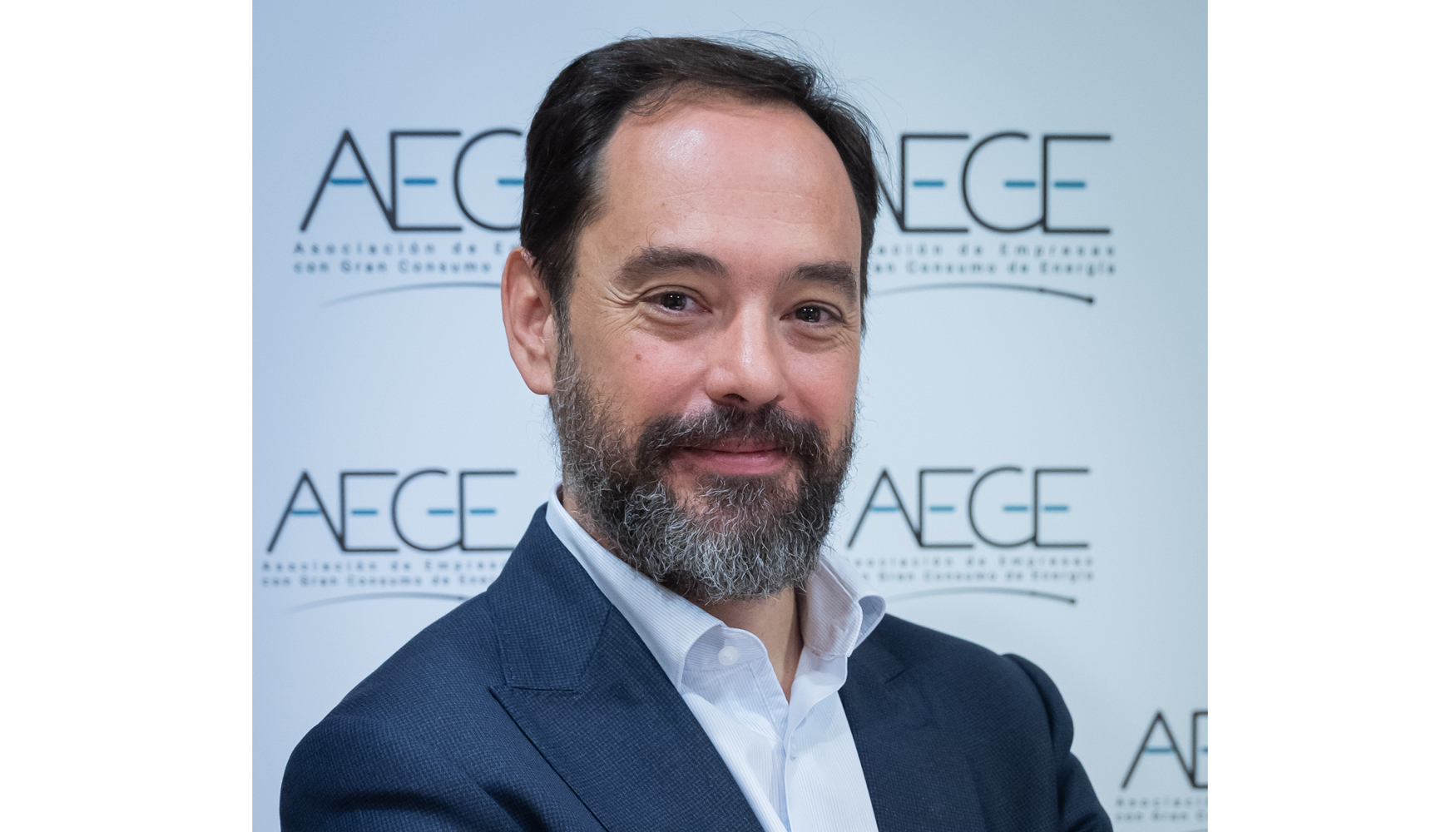 Pedro Gonzlez, director general de Aege