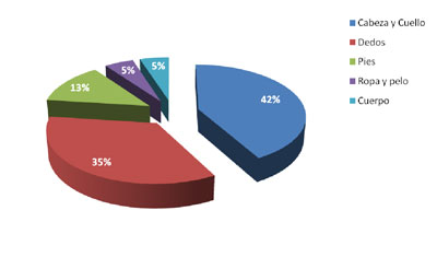 Figura 1. Porcentajes de los diferentes atrapamientos durante las inspecciones de las reas de juego
