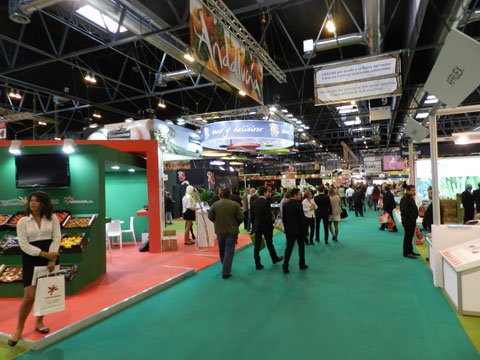 The international assistance to the fair increased in 81%, with pertinent visitors of 92 different countries