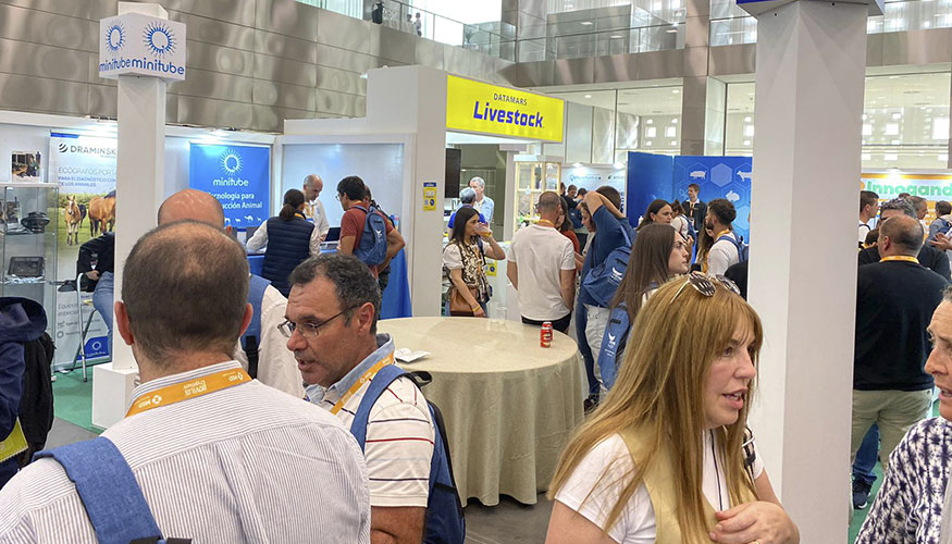 Zona de stands del Congreso de Anembe celebrado en el ao 2024 en la ciudad de Crdoba