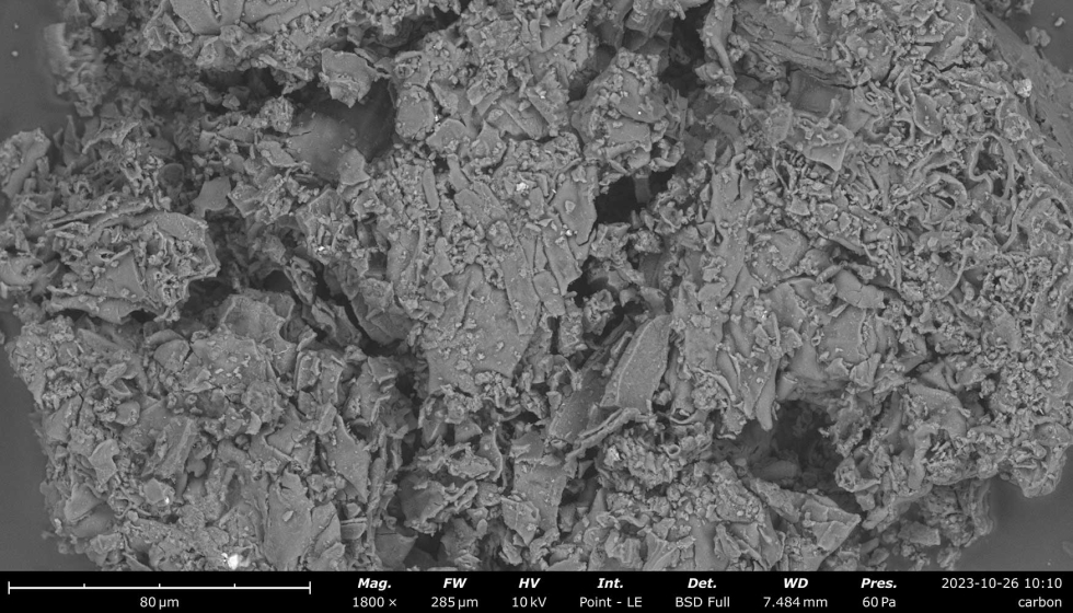 Figura 1. Micrografa electrnica de una partcula de biocarbn elaborado a partir de biomasa de sargazo