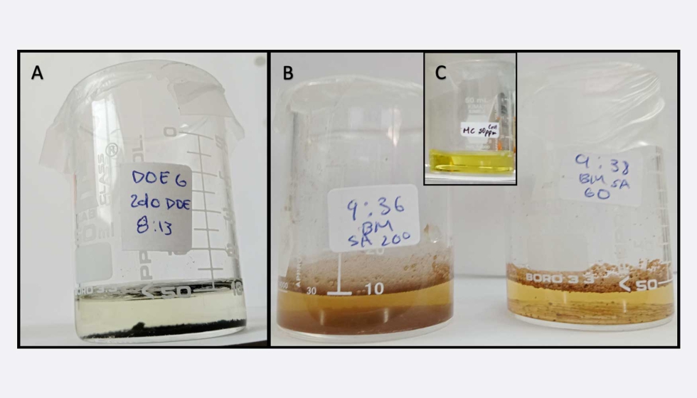 Figura 5. Adsorcin de cromo hexavalente en (A) biocarbn de sargazo y (B) sargazo natural...