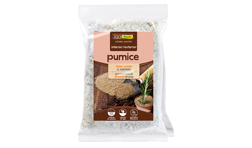 Pumice