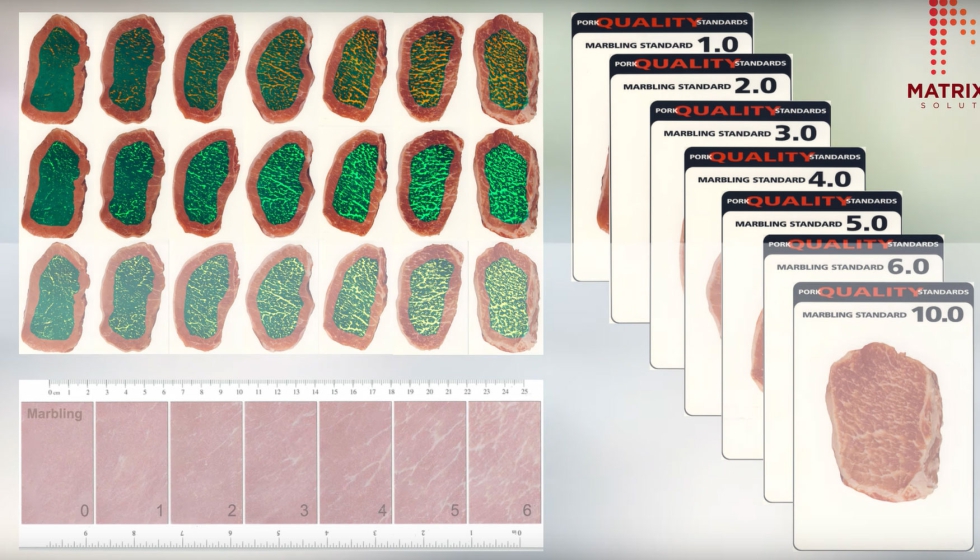 El dispositivo captura imgenes de una muestra de carne de cerdo...