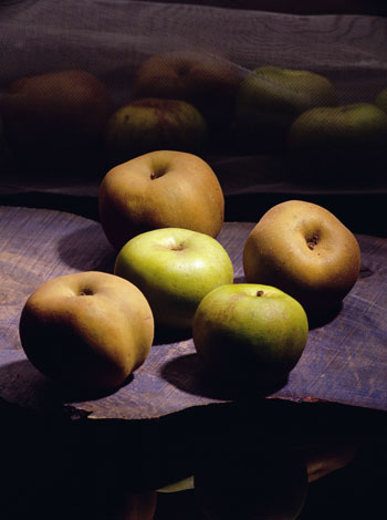 Este fruto, referente en la Comunidad de Castilla y Len, se distingue tambin por sus virtudes nutricionales...