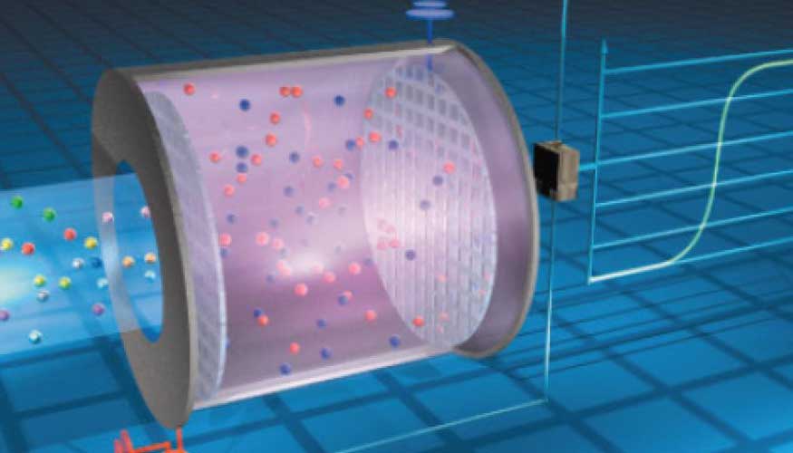 Figura 6: Grfico en que se indica la entrada de gas al sensor, que contiene un electrolito especfico y dos electrodos...