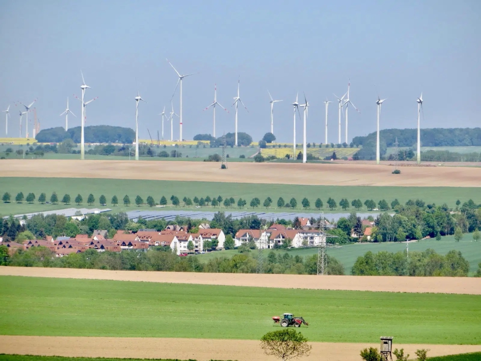 El estudio ha utilizado datos de varias zonas de Alemania como la de la imagen. Foto: Biodiversity Exploratories