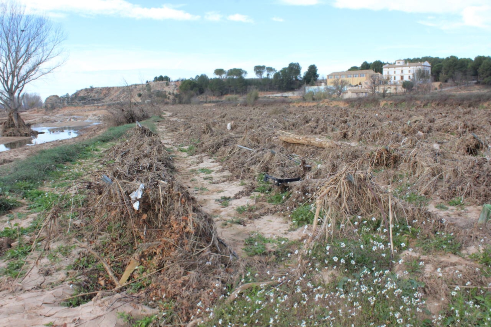 En las prximas semanas el Fondo Espaol de Garanta Agraria publicar nuevos listados de beneficiarios