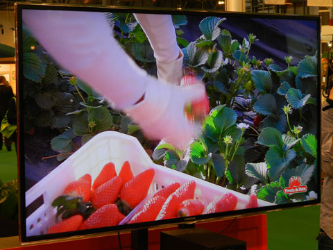 Imagen del vdeo corporativo durante su presentacin en Fruit Attraction