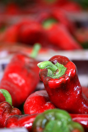 La Indicacin Geogrfica Protegida Pimiento Riojano ampara el pimiento de la variedad Najerano producido en los valles de La Rioja...