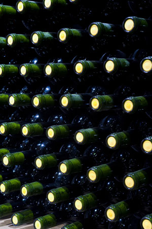 Diversas bodegas vallisoletanas, adscritas a la ruta de Ribera del Duero, darn a conocer sus nuevos vinos en Envero 2011...