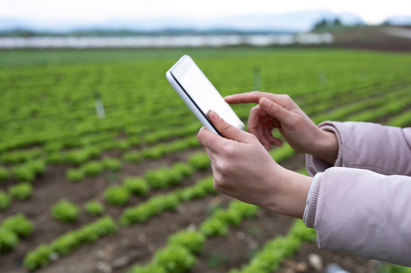 El Mapeo identifica las oportunidades de negocio para empresas innovadoras en el mbito de la tecnologa para la agricultura...