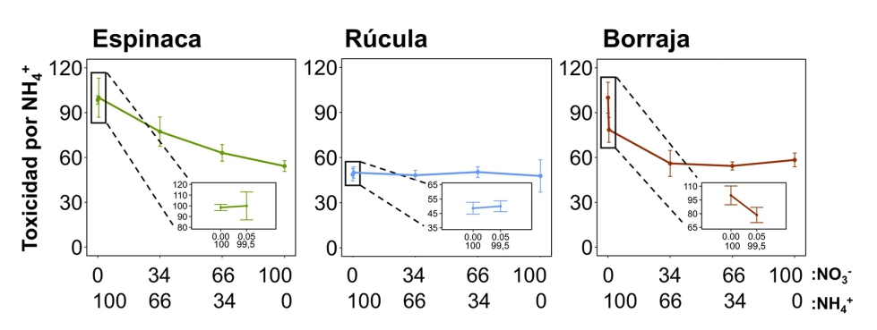 Figura 3. Niveles de toxicidad por amonio en espinaca, rcula y borraja cultivadas con distintos ratios nitrato:amonio (%:%)...