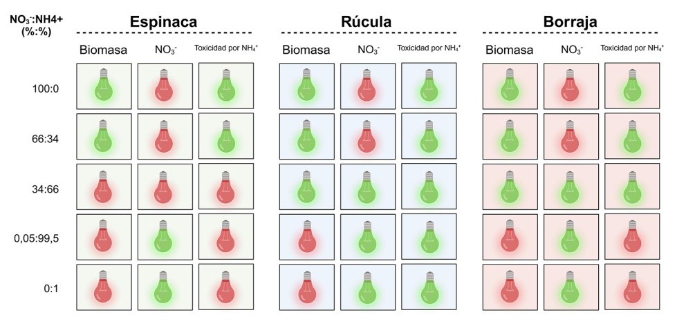 Figura 5...