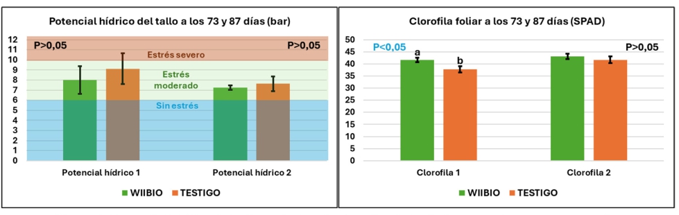 Figura 2. Potencial hdrico del tallo y niveles de clorofila de las hojas en cada sector ensayado