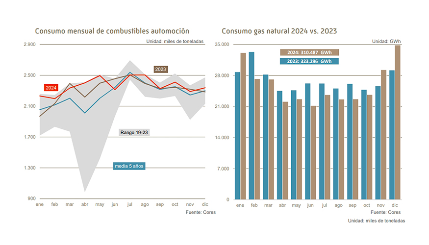 A lo largo de 2024, todos los productos, excepto el gas natural destinado a generacin elctrica, experimentaron incrementos...