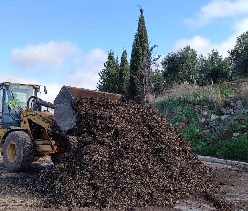 El proyecto persigue la mejora del aprovechamiento del olivar para conseguir abono natural