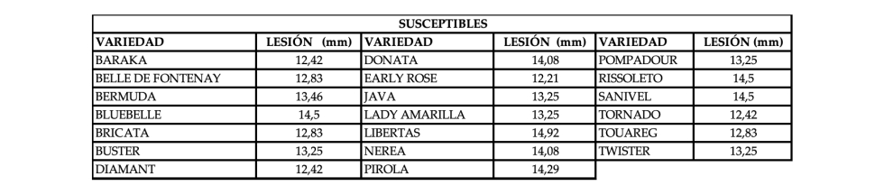 Tabla 2. Medias de lesin de las variedades susceptibles