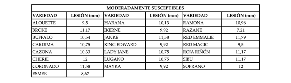 Tabla 3. Medias de lesin de las variedades moderadamente susceptibles